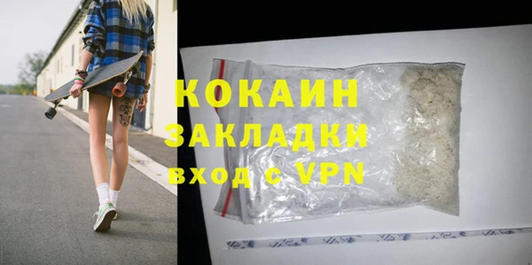 индика Тобольск