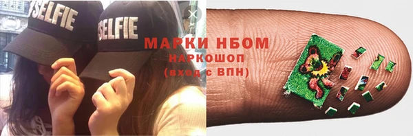 индика Тобольск