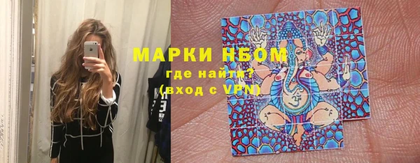 индика Тобольск