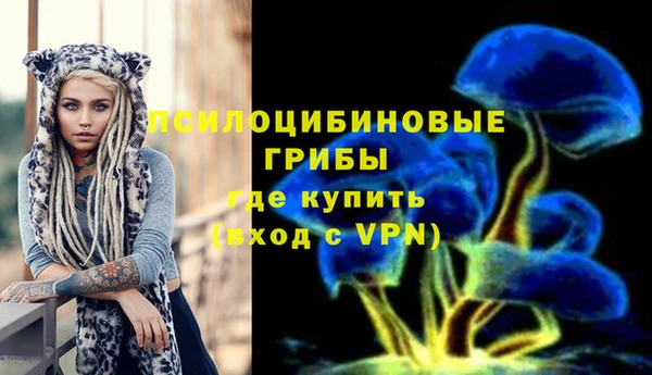 индика Тобольск