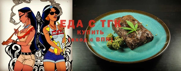 индика Тобольск