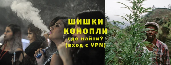 гашик Тихвин