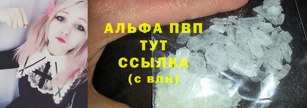 индика Тобольск
